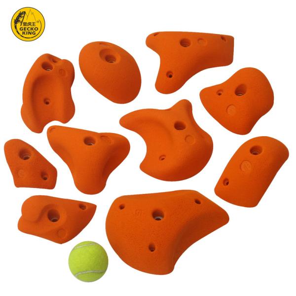 10-Piece Gecko King 2018 Rock Climbing Wall Holds in Different Colors for