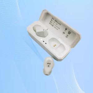 Rechargeable Hearing Aid With Echo Suppression and Speech Enhancement