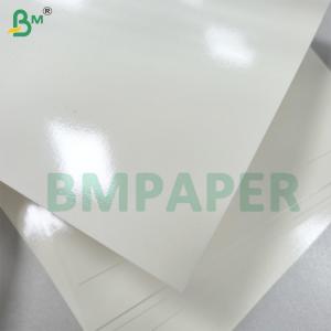 Microwaveable And Ovenable PET Coating Bowl Paper Good Sealbility