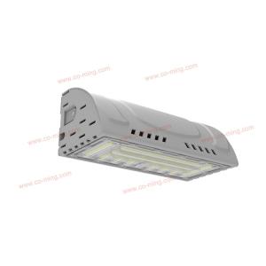 Buy cheap W300 50w 150lm/W IK10 LED Wall Light Asymmetric G6 from wholesalers