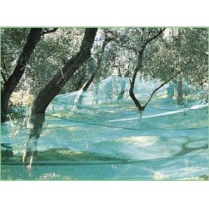 Buy cheap Hdpe Anti UV Olive Harvesting Nets , Agriculture Fruit Collecting Net from wholesalers