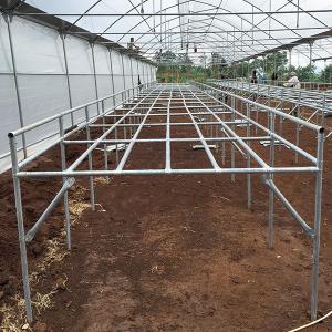 Buy cheap Easy Maintenance Customizable Deep Water Cycle Hydroponics With Water Chiller from wholesalers