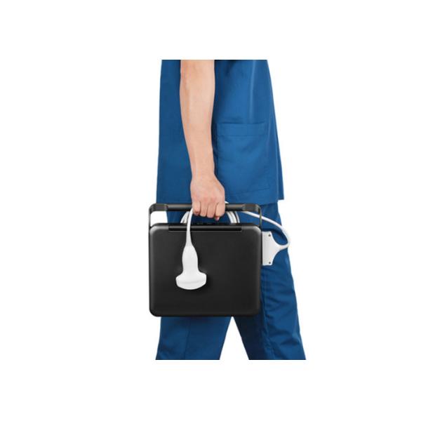 Buy cheap 9.7 Inch Touch Screen Control Panel Battery Veterinary Portable Ultrasound USB Diagonosis Pregnant Ultrasound from wholesalers