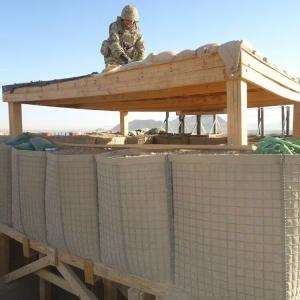 5mm Wire Defensive Barrier 20 Cells 1*1*1M 1*1*5M Flexibility Black Welded Mesh