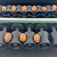 China Precision Elevating Date Quality Assurance With Advanced Dates Sorting Machine for sale