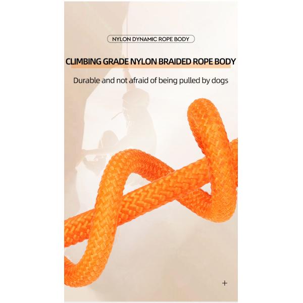 Pet Nylon P Chain Leash Dog Explosion-Proof Punch Handle Integrated Dog Walking Rope