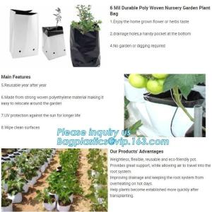 Buy cheap 15 GALLON Hole Plastic LDPE Grow Bags For Nursery, Black & White PE Grow Bags for Hydroponic and Horticulture use, BAGEA from wholesalers