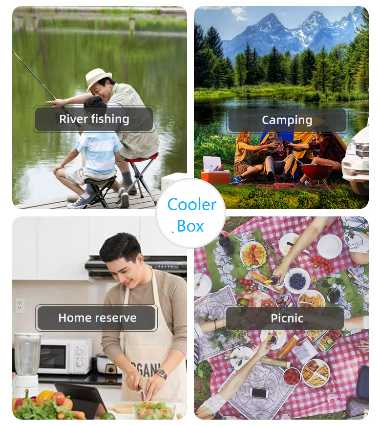 Buy cheap FS-65L Ice Cooler Box with Passive Cooling Method and 7.9Kg Single Gross Weight for Food Logistics from wholesalers