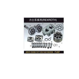 Rexroth A8VO Pump Spare Parts with Performance Guarantee Reliability and