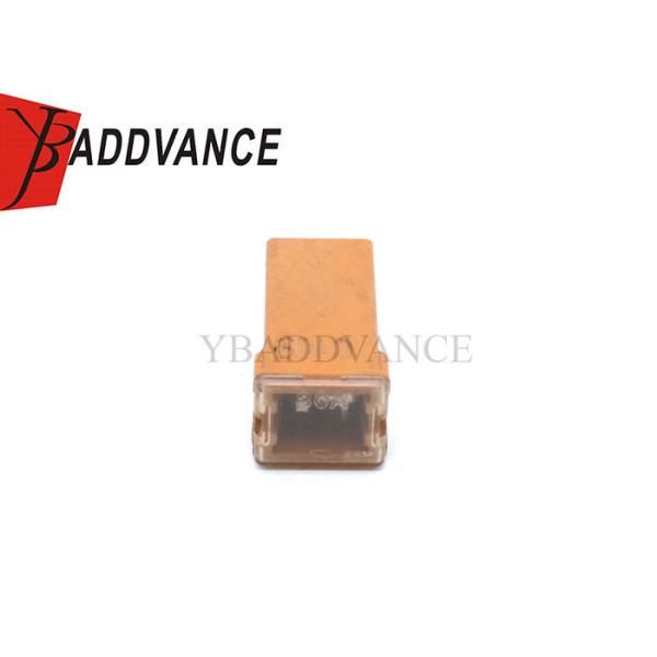 Quality Female Electrical Housing Auto Wire Harness 2 Pin Terminals Connector Micro Cartridge Fuses 30 AM 06102076AA for sale
