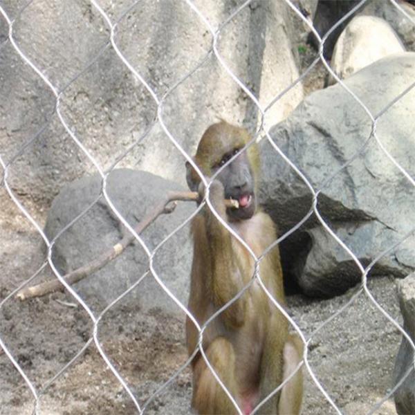 Anping high quantity SS Wire Rope Mesh For Cheap Sale