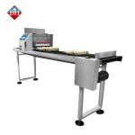 Six Nozzle Automatic Egg Spray Coding Machine Printing