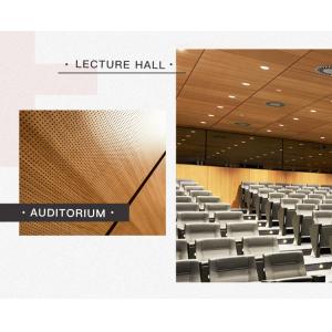 Micro Perforated Sound Absorption Acoustic Panels For Medium To Low Frequencies