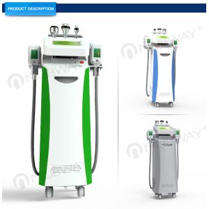 Cool sculpting fat reduction cryolipolysis slimming machine chinese professional