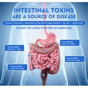 220v Colon Hydrotherapy Machine Skin Rejuvenation 2L/Min Colonix Machine