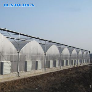 Buy cheap Sheet Covering Plastic Film Greenhouse For Tomatoes Agricultural Multi Span from wholesalers