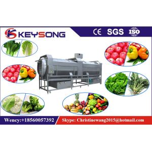 Industrial Bubble Vegetable Washer Machine , Big Capacity Vegetable Processor