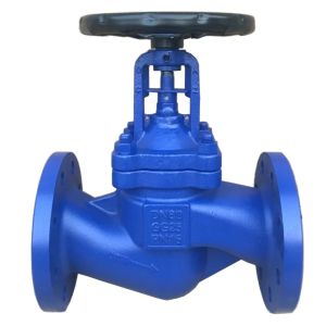 GG25 GGG40 cast iron bellows globe valve