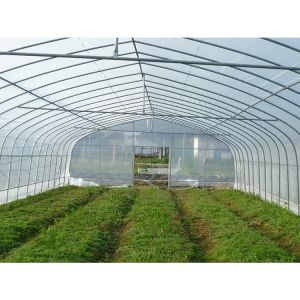 Buy cheap Single Layer Plastic Film Greenhouse Versatile For Agricultural Applications from wholesalers