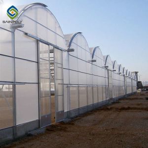 Buy cheap 12m Polycarbonate Greenhouse Hydroponic Growing Systems from wholesalers