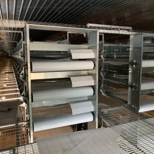 Chicken Egg Layer Cages Equipment With Poultry House