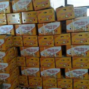 Buy cheap China fresh garlic export to Brazil by Pioneer garlic group. 6.0 cm normal white garlic. from wholesalers