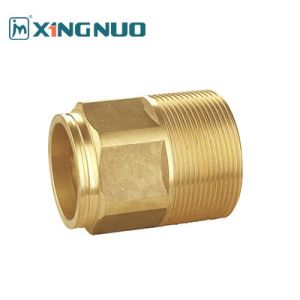 Buy cheap 1/2 3/4 inch female and male threaded valve Compact Brass Check Valve with -10-120 Degree Working Temperature from wholesalers