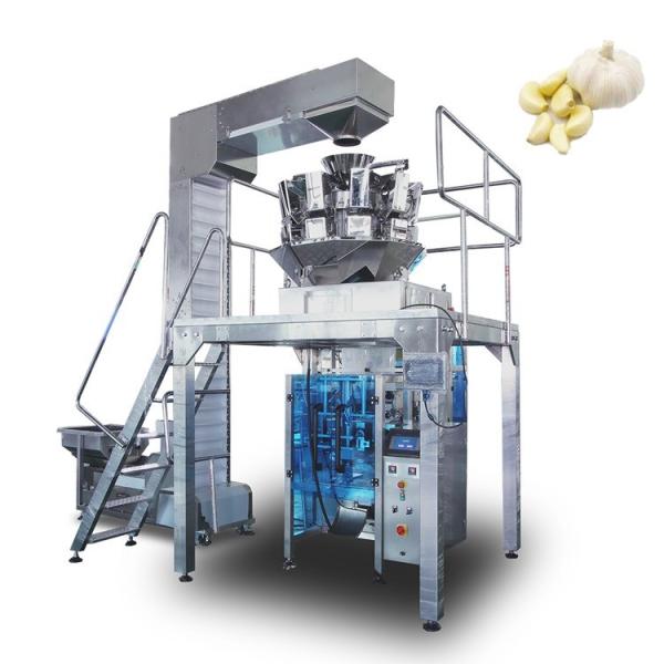 Quality Food Grade 304SS 5000g Peanut Packaging Machine for sale