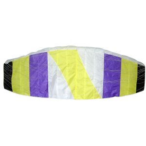 Buy cheap Easy Assembled Dual Line Kite Rip Stop Nylon Material For Adults 300*100cm from wholesalers