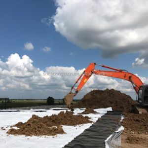 Onsite Inspection HDPE Geomembrane Pond Liner for Fish Prawn Fram and Dam