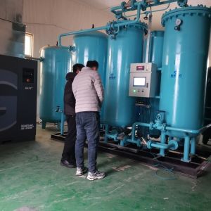 Automatically Oxygen Manufacturing Machine PSA O2 Plant With Sterilizer