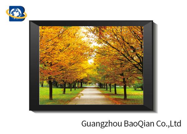 SGS 3D Lenticular Printing Black And White Landscape Pictures For Home