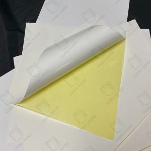 Buy cheap Adhesive Sticker For Printing Labels 60um PP White Label With Permanent Adhesive from wholesalers