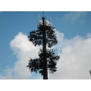 Buy cheap Community Camouflage Cell Tower Pine Tree Communication from wholesalers