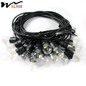 Buy cheap 2700K-6500K 1w Led Filament Bulb LED Decorative Lights For Garden from wholesalers