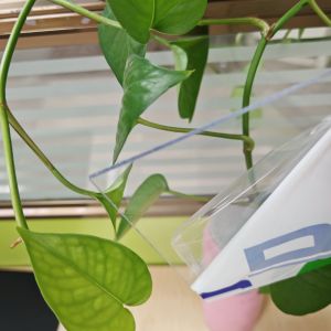 Chinese factory supply 1mm 2mm 3mm 4mm 5mm 6mm 8mm 10mm Transparent Solid