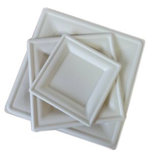 6in White Compostable Disposable Biodegradable Sugarcane Bagasse Plates