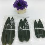 Serve Sushi with Fresh and Natural Bamboo Leaf Wrappers NO Address Required