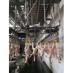 Buy cheap Custom Poultry Slaughtering Equipment Automatic Chicken Head Cutting Machine from wholesalers