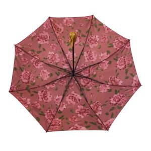 Buy cheap BSCI Printed 2 Fold Auto Open Close Windproof Travel Umbrella from wholesalers