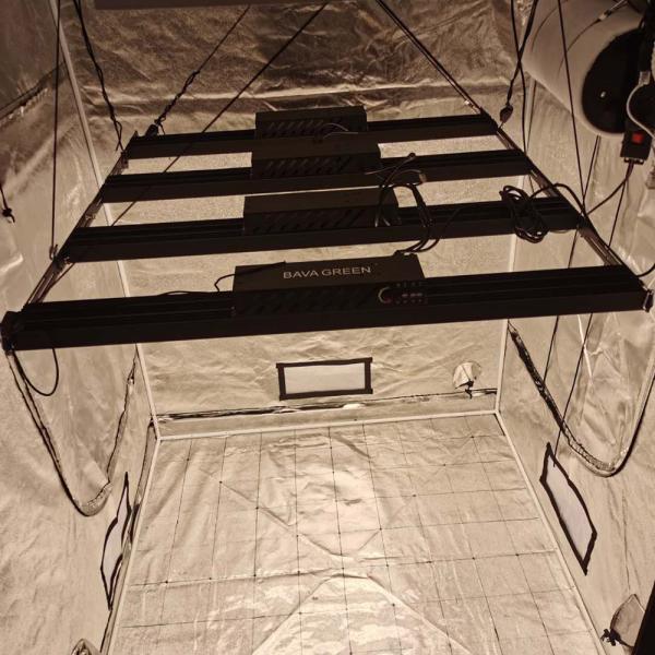 CETL Waterproof 6x6 Bavagreen Hydroponics SAMSUNG LM301H Grow Light