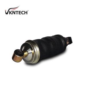 Buy cheap VKNTECH 1S2919 CABIN AIR SPRING REPLACE MERCEDES BENZ 942.890.29.19 A 942.890.29.19 942.890.01.19 ACTROS 1831-1860 (FRONT) Sachs 105392 from wholesalers
