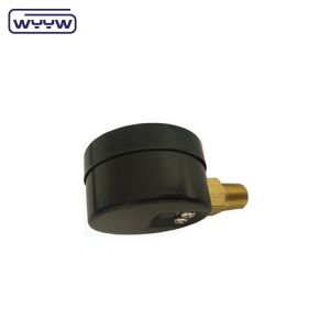 Buy cheap 40mm Economy Pressure Gauge For Natural Gas OEM ODM OBM Customized from wholesalers