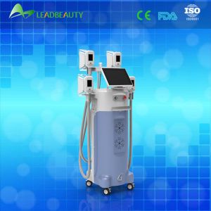 Buy cheap Perfect effect slimming machine cryolipolysis fat freezing equipment from wholesalers