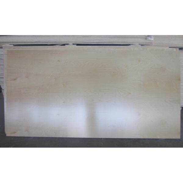 Quality UV2 Full Birch Plywood/Birch Face Poplar Plywood for sale