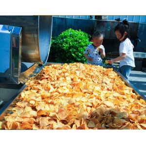 Customization Industrial Potato Chip Production Equipment with Thermal