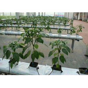 Buy cheap Rock Wool Board 650℃ Working Temperature 40Kpa Compressive Strength from wholesalers