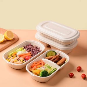 Take Away Compostable Sugarcane Container Lunch 2 Compartment Food Containers
