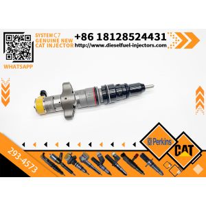 China Auto Parts Fuel Injection System For C9 Engine Caterpillar 293-4573 293-4574 328-2573 Injectors on sale