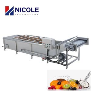 Industrial Bubble Fruit And Vegetable Washing Machine Cleaner Automatic CE